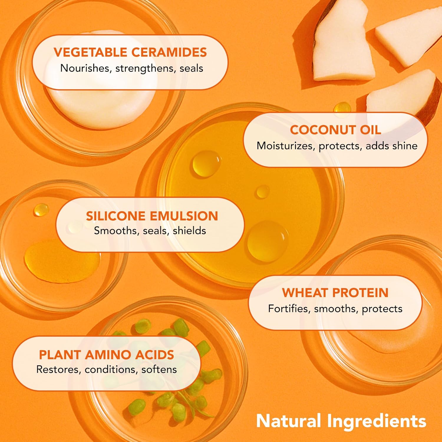From Frizz to Fabulous – Viral Hair Mask for Dry, Damaged & Curly Hair
