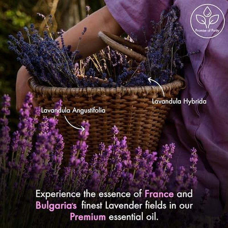 Calm in a Bottle – 100% Pure Lavender Essential Oil with Dropper | Premium Grade for Diffusers, Skin, Massage & Aromatherapy | 4 oz of Soothing Serenity