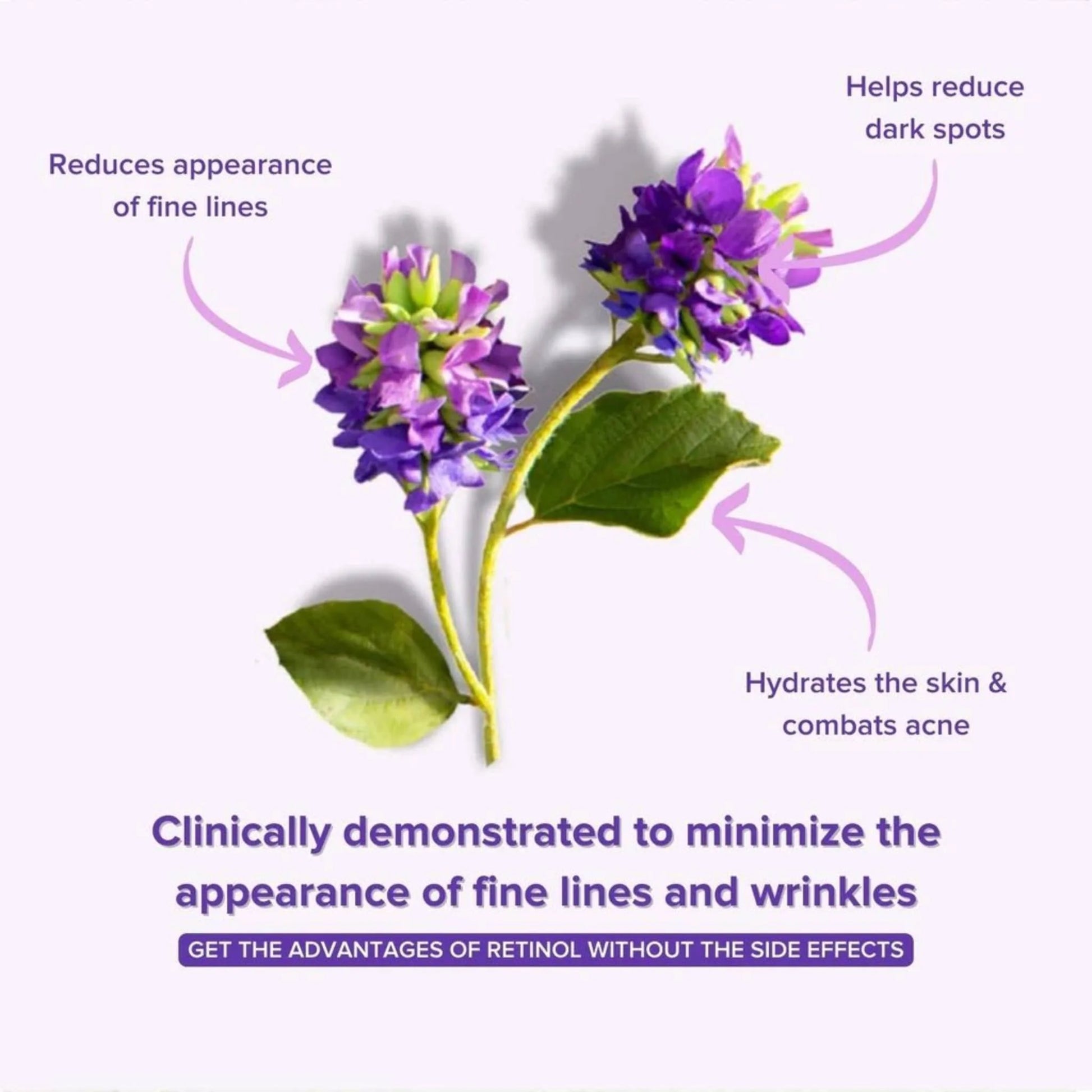 Botanical Glow: Bakuchiol Anti-Aging Serum – Plant-Powered Retinol Alternative for Smooth, Firm Skin